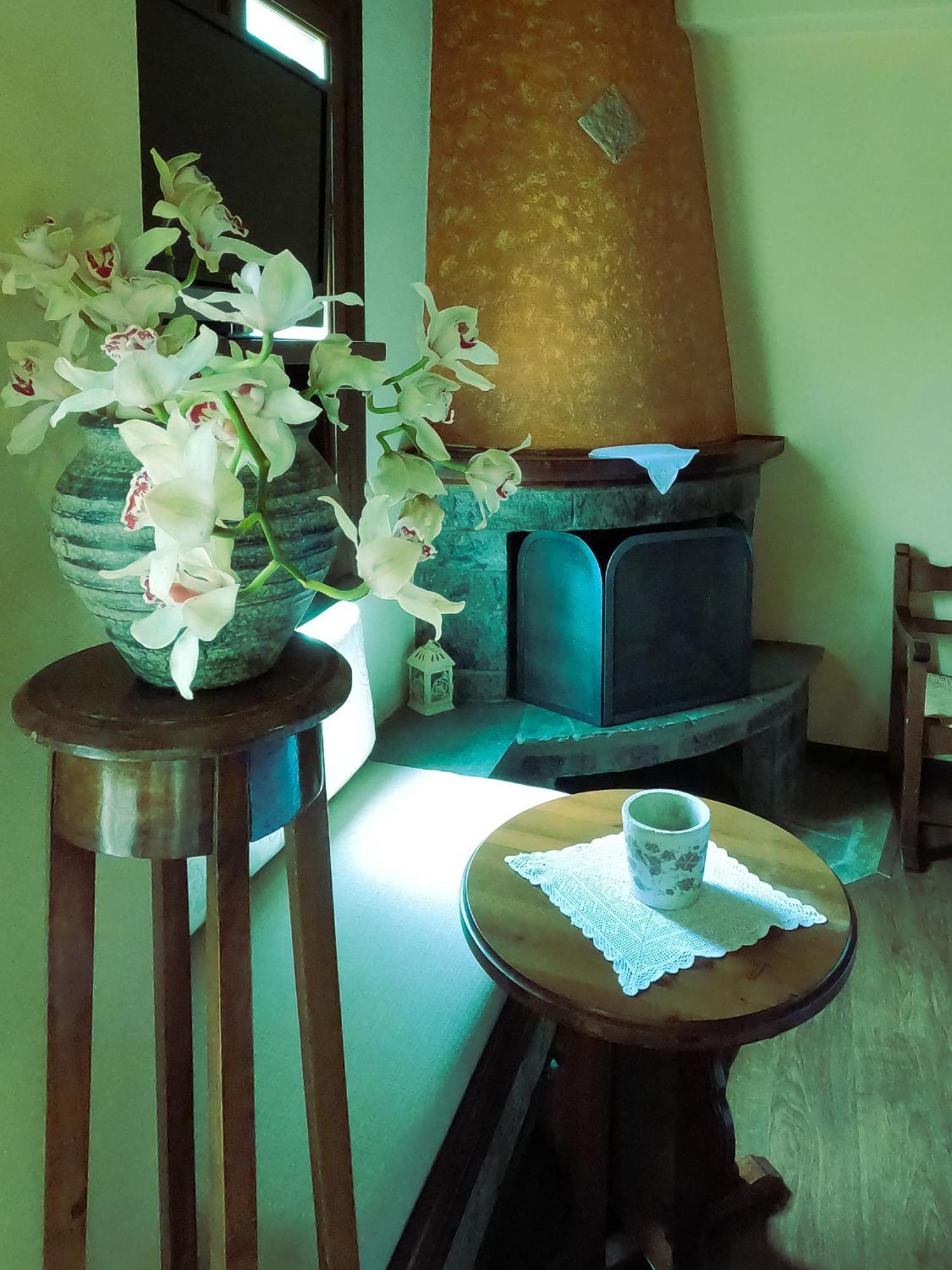 Amalthia Traditional Guesthouse Цагкарада Номер фото